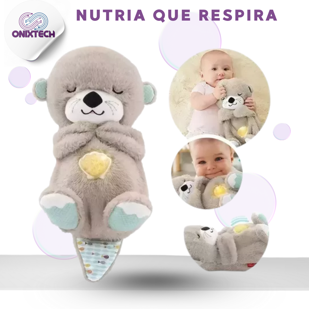 NUTRIA GRIS respira