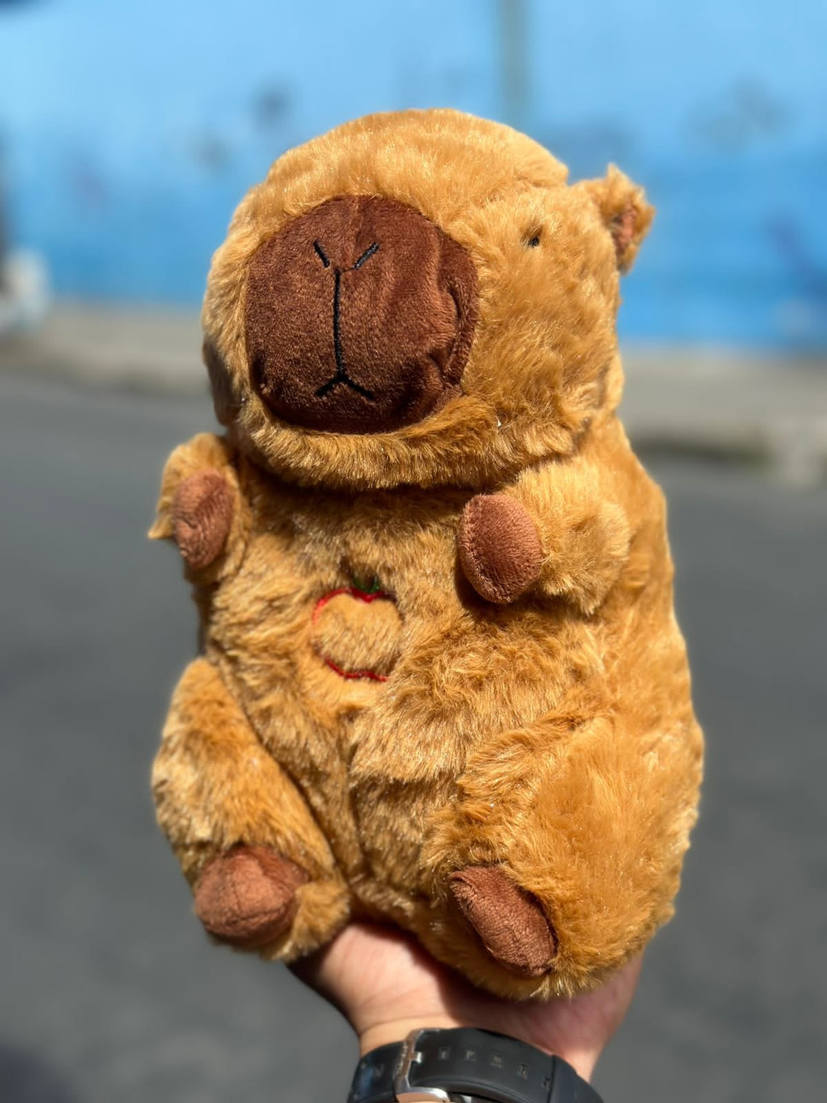 CAPIBARA CAFÉ que respira